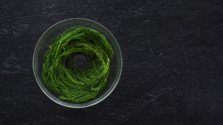 How to Find the Best Sea Moss Supplier for Your Business
