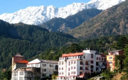 How to Reach Dharamshala Himachal Pradesh: Getting There Easy