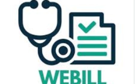 Webill: Neurology Coding Strategies for Medical Billing Professionals