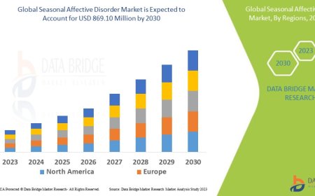 Seasonal Affective Disorder Market Insights: Growth, Share, Value, Size, and Analysis
