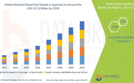 Maternal Blood Test Market Research Report: Growth, Share, Value, Trends, and Insights