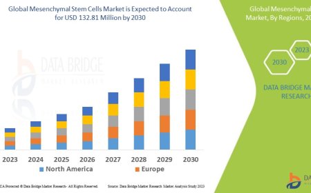 Mesenchymal Stem Cells Market Companies: Growth, Share, Value, Analysis, and Trends