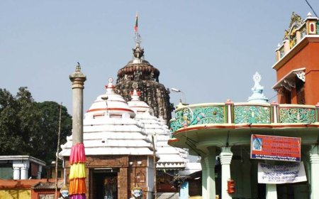 Uncover the Divine Tale and Glory of Sakshi Gopal Temple