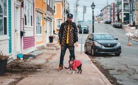 Refine Your Style: Where to Buy Louis Vuitton Apparel Online