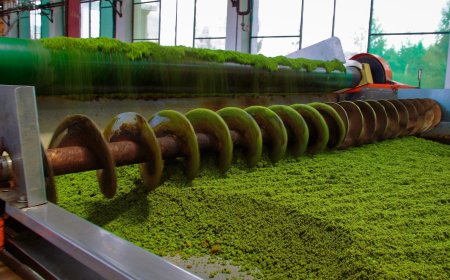 Cost to Setup a Tea Processing Plant- Detailed Project Report on Requirements and Key Aspects