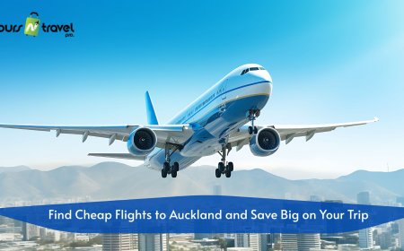 Find Cheap Flights to Auckland and Save Big on Your Trip with Toursntravelpro