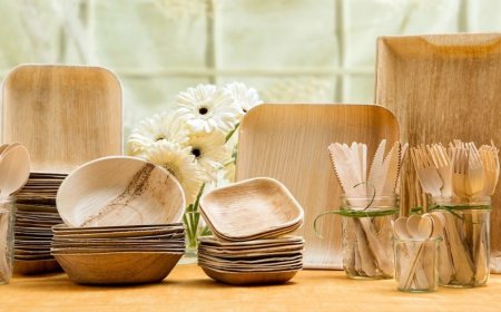 Report on Cost Requirements for Setting Up a Bagasse Based Biodegradable Cutlery Manufacturing Plant