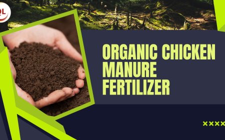 7 Advantages of Organic Chicken Manure Fertilizer in Sustainable Farming