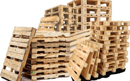 Buy Wooden Pallets Near Me for Reliable, Local Supply and Quality Options