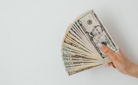 Download a Colour Prediction App That Rewards Accuracy