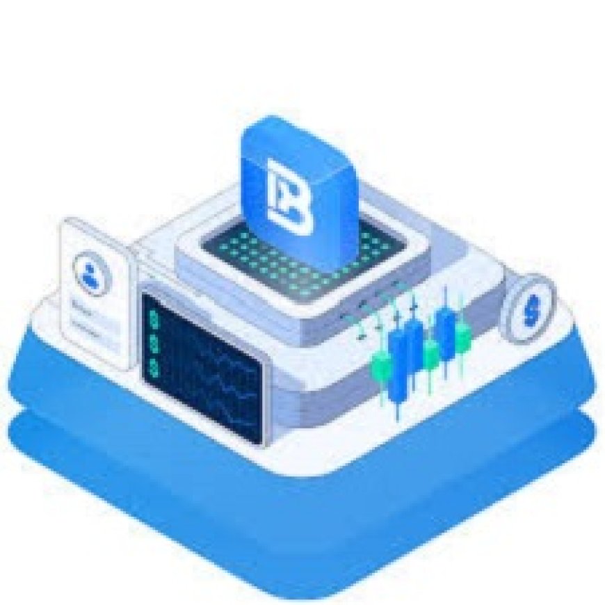 Discover the Best Forex Trading Platforms with Btcdana