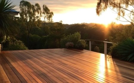 Why Treated Timber—Especially Treated Pine Timber—Is a Must for Every Project: Tough, Reliable, and Ready to Build