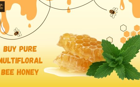 Buy Pure Multifloral Bee Honey from Mexico’s Heartland