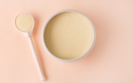 Report on Collagen Peptide Manufacturing Plant Setup