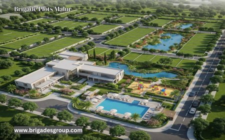 Plot Buying Checklist 2025: 10 Red Flags to Avoid | Brigade Plots Malur Guide