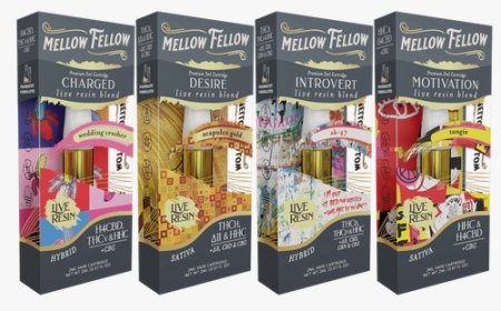 Mellow Fellow Live Resin Premium Blend Disposable THC Vape Device I 4ML - Vol.1