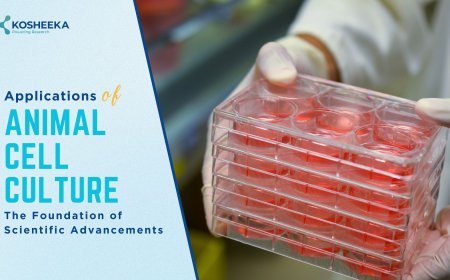 Applications of Animal Cell Culture: The Foundation of Scientific Advancements