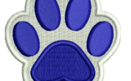 Simple Tips to Resize 3D Puffy Designs Safely