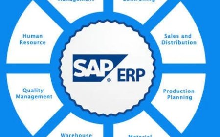 What are SAP T-Codes?