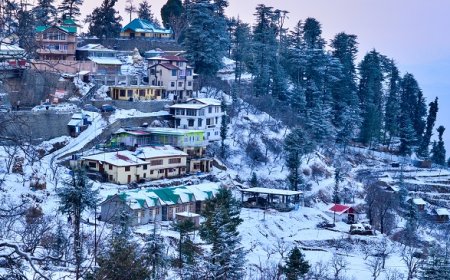 Chandigarh To Shimla Tour Package: Your Perfect Hill Escape