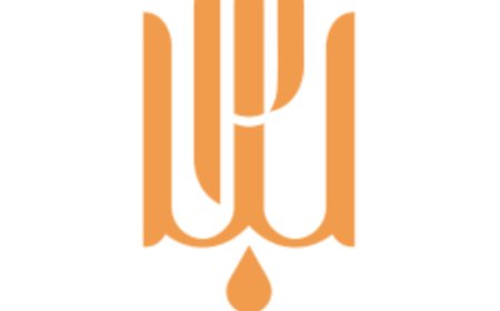 Can Whole-Person Care Transform Your Health Journey?