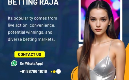 The rise of kabaddi betting on Betting Raja: user trends and market growth
