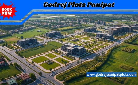 Godrej Plots Panipat Location: Near Delhi, Highway & Metro?