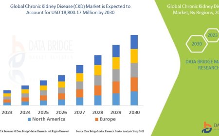 Chronic Kidney Disease Market Expands with Increasing Prevalence and Therapeutic Advances