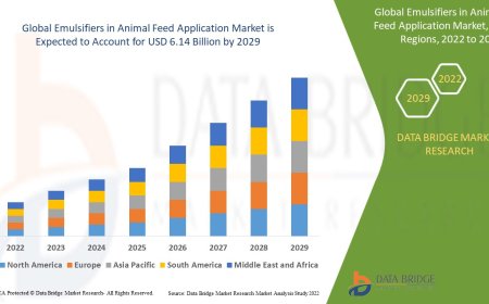 Animal Feed Emulsifiers Market Boosted by Growing Focus on Livestock Nutrition and Efficiency