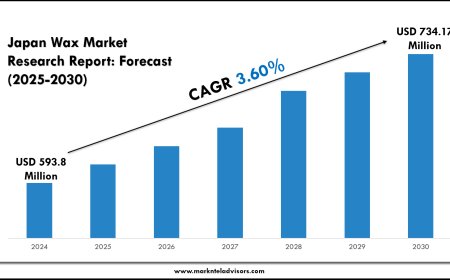 Forecasting the Japan Wax Market: Opportunities 2025–2030