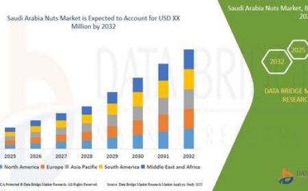 Saudi Arabia Nuts Market Insights and Growth Trends