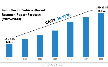 India Electric Vehicle Market Forecast and Insights (2025–2030)