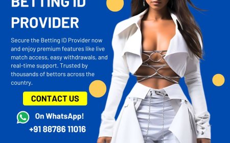 How to Choose the Best Betting ID Provider for Cricket and Sports