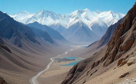 Your Essential Pre-Travel Guide: What to Do Before You Fly Abroad