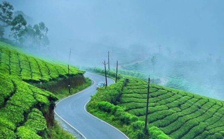 Family-Friendly Munnar: Best Places to Visit with Kids
