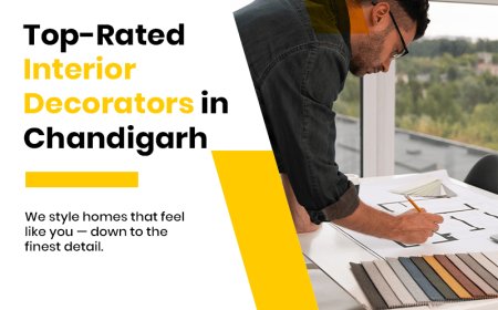 Transform Your Space with Timeless Design and Creativity