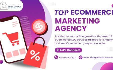 Best Ecommerce Marketing Agency in India to Help You Grow Your Brand Online—Wish Geeks Techserve