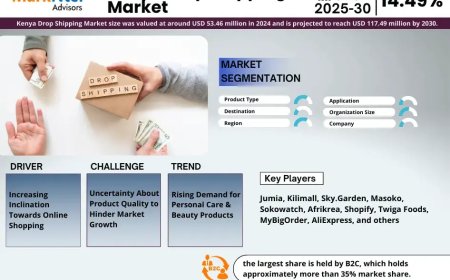 Why Kenya Drop Shipping Market Is Booming: Key Insights & Stats