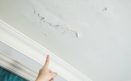 How to Extend the Life of Your Roof in Humid Climates