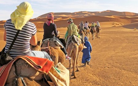 Morning Desert Safari Dubai: A Refreshing Start to Your Day