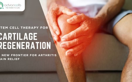 Stem Cell Therapy for Cartilage Regeneration: A New Frontier for Arthritis Pain Relief