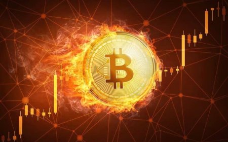 Best Hardware Wallets for 2025: Top Devices to Secure Your Cryptocurrency Safely