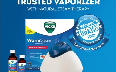 Are Steam Vaporizers Good for You During Flu Season or Do They Come with a Catch?