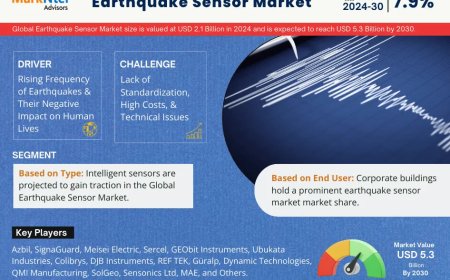 Why Earthquake Sensor Market Is Booming: Key Insights & Stats