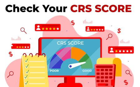 How to Use a CRS Calculator to Maximize Your Immigration Chances