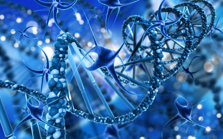 Simplimax for Surgeons: Integration into Surgical Wound Management