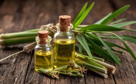 Keys to Running a Profitable Citronella Oil Processing Plant Setup Report 2025: Cost Details