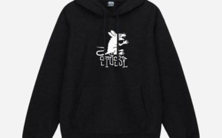 The Buzz Around Official Stussy Hoods