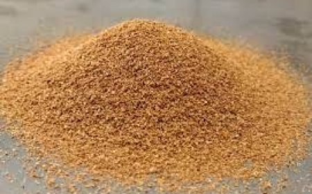 Coconut Shell Powder Manufacturing Plant: Machinery Cost, Setup Guide & Business Plan 2025