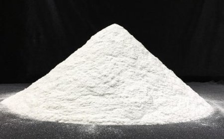 Calcium Powder Manufacturing Plant Setup 2025: Project Report, Raw Materials, Cost and Requirements